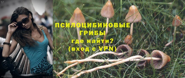 ALPHA PVP Елизово