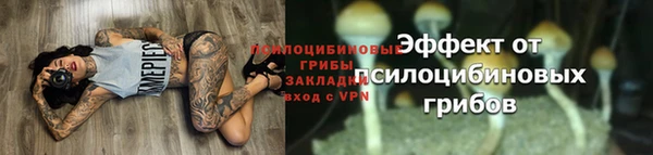 ALPHA PVP Елизово