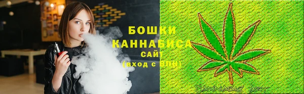 ALPHA PVP Елизово