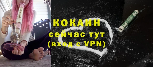 гидропоника Елабуга