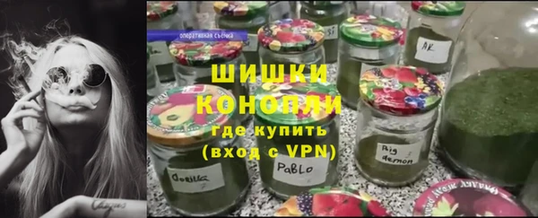 гидропоника Елабуга