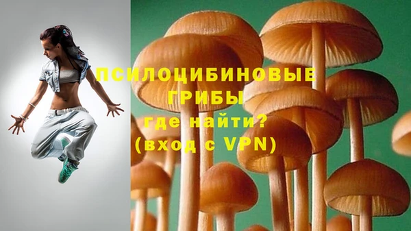стаф Михайлов